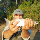 Pescando e Cuidando